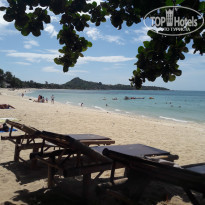 фото из отзыва ID 1892335