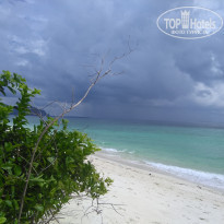 фото из отзыва ID 1892204