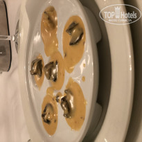 фото из отзыва ID 1892362