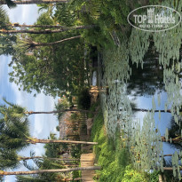 фото из отзыва ID 1892362