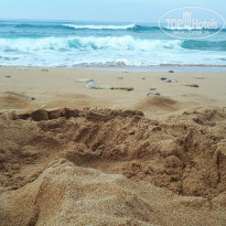 фото из отзыва ID 1892351