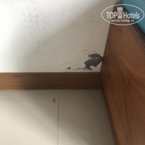 фото из отзыва ID 1892379