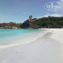 фото из отзыва ID 1892384