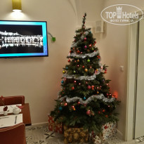 фото из отзыва ID 1892372