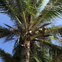 фото из отзыва ID 1892451