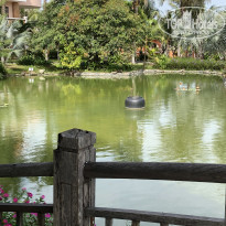 фото из отзыва ID 1892587