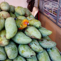 фото из отзыва ID 1892806