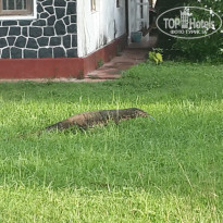 фото из отзыва ID 1893104