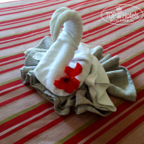 фото из отзыва ID 1893125