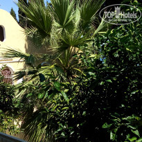 фото из отзыва ID 1893043