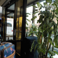 фото из отзыва ID 1893375