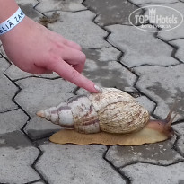 фото из отзыва ID 1893430