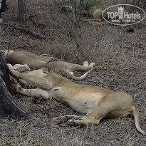 фото из отзыва ID 1893430