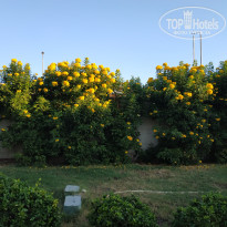 фото из отзыва ID 1893097