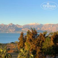 фото из отзыва ID 1893501