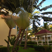 фото из отзыва ID 1893773