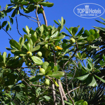 фото из отзыва ID 1893814