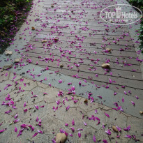 фото из отзыва ID 1893823