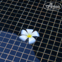 фото из отзыва ID 1893878