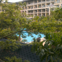 фото из отзыва ID 1893984