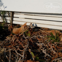 фото из отзыва ID 1894068