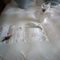 фото из отзыва ID 1892862