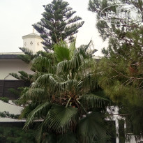 фото из отзыва ID 1894074