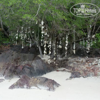 фото из отзыва ID 1894162