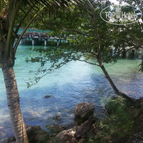 фото из отзыва ID 1894162