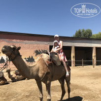 фото из отзыва ID 1894023