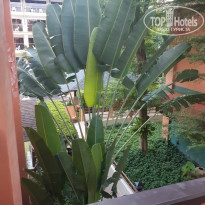 фото из отзыва ID 1894187