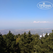 фото из отзыва ID 1894396