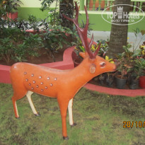 фото из отзыва ID 1894159