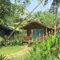 фото из отзыва ID 1894159