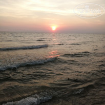 фото из отзыва ID 1894454