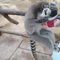 фото из отзыва ID 1894454