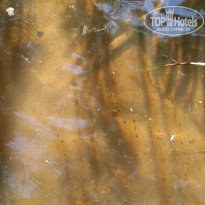 фото из отзыва ID 1894547