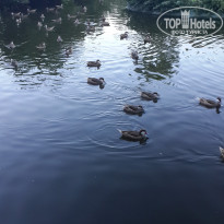 фото из отзыва ID 1894547