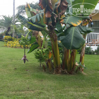 фото из отзыва ID 1894547