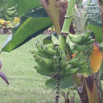 фото из отзыва ID 1894547