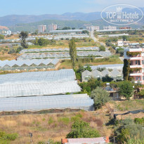 фото из отзыва ID 1892434