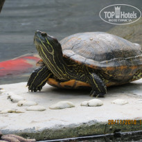 фото из отзыва ID 1891041