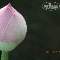 фото из отзыва ID 1891041