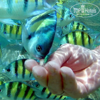 фото из отзыва ID 1894620