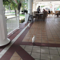 фото из отзыва ID 1894717