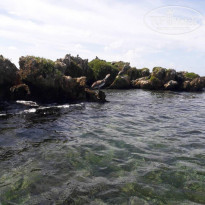 фото из отзыва ID 1894717