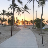 фото из отзыва ID 1894747