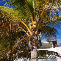 фото из отзыва ID 1894882