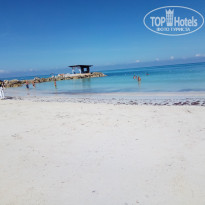 фото из отзыва ID 1894882