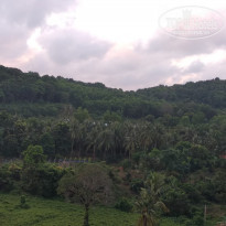 фото из отзыва ID 1894996